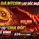 1756E808-6230-4EB1-BD5A-7523E6C16A9E